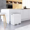 Dual Step Trash Can