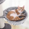 Basket Lounger Cat Condo
