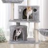 2 Condos Cat Tower