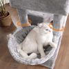 Multilayer Large Cat Tree